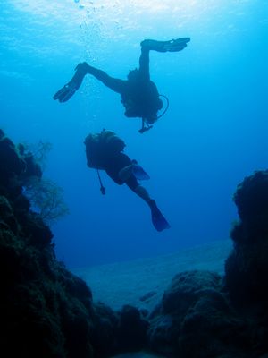 Diving in María la Gorda, Cuba