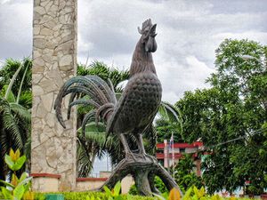 Rooster of Morón